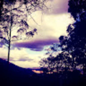 Meet your Posher, Gaby vero